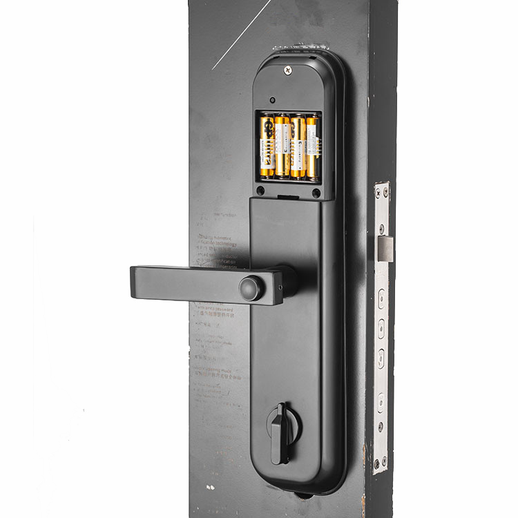 Manija Bloquear cerraduras electrónicas Puerta de cilindro inteligente Puerta de entrada Puerta de entrada Inteligente Bloqueo de huellas dactilares Cerraduras inteligentes con llave