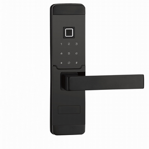 Cerradura de la puerta de la venta caliente Pequeña mortaja Moderno de la huella dactilar Puerta de la puerta con estilo elegante Cerradura de la puerta con bajo precio