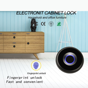 Introduce la cerradura de la huella dactilar del gabinete pequeño de la cerradura recargable recargable
