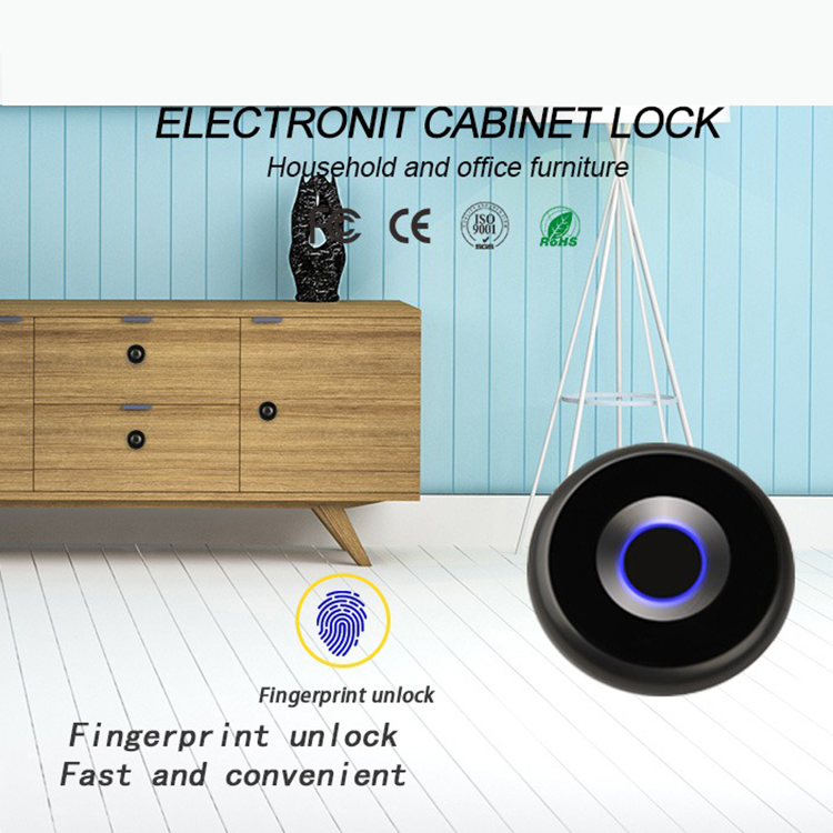 Introduce la cerradura de la huella dactilar del gabinete pequeño de la cerradura recargable recargable